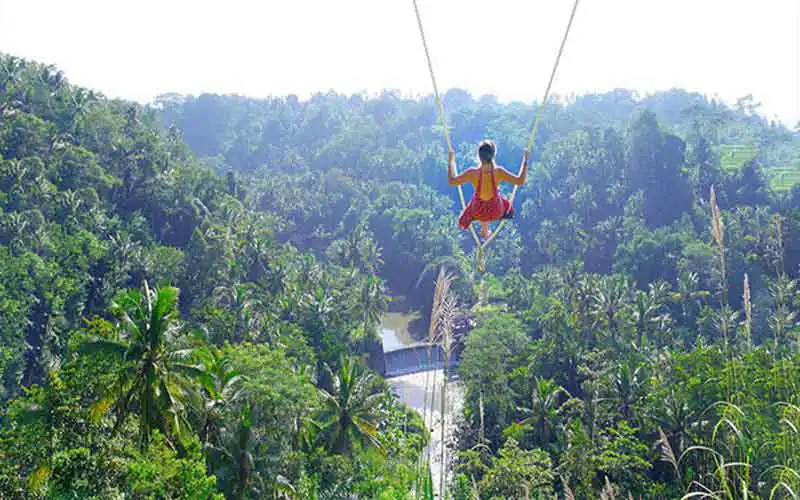 swing ubud tour